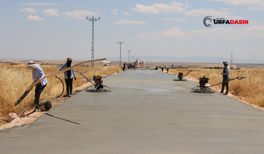Şanlıurfa'da 3 İlçeyi Bağlayacak Beton Yol Çalışması Devam Ediyor