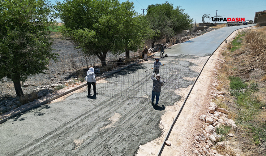 Şanlıurfa'da 3 İlçeyi Bağlayan 11,5 Kilometrelik Beton Yol Tamamlandı