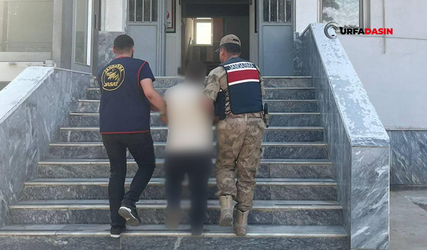 Şanlıurfa'da Hırsızlık Suçundan 6 Yıl Hapis Cezası Bulunan Hükümlü Yakalandı