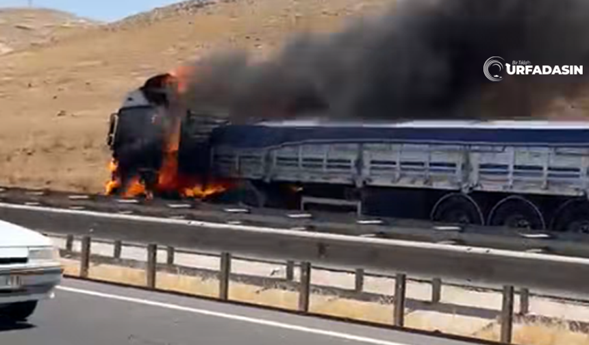 Şanlıurfa Viranşehir Yolunda TIR Alev Aldı