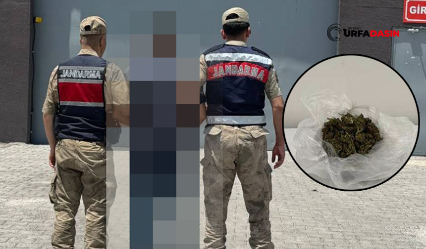 Şanlıurfa'da Şüpheyle Durdurulan Zehir Tacirinin Üzerinden Esrar Çıktı