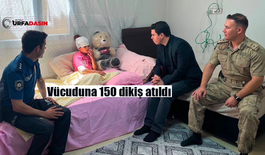 Şanlıurfa Suruç'ta 8 Sahipsiz Köpeğin Saldırdığı Kız Çocuğu Ölümden Döndü