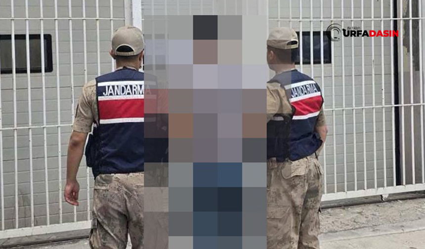 Şanlıurfa'da Doğalgaz Hattından Hırsızlıktan 9 Yıl Hapsi Bulunan Firari Yakalandı