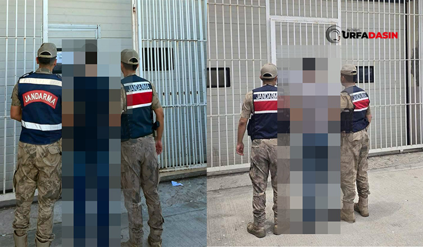 Şanlıurfa'da Her Yerde Aranan 2 Firari Karaköprü'de Yakalandı