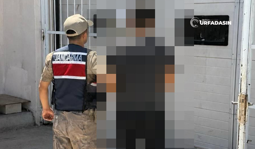 Şanlıurfa'da Kesinleşmiş Hapis Cezası Bulunan Hükümlü Yakalandı
