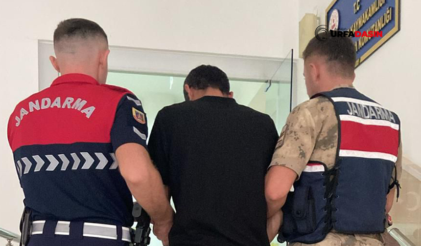 Şanlıurfa'da Her Herde Aranan Dolandırıcı, Jandarma Ekiplerince Yakalandı