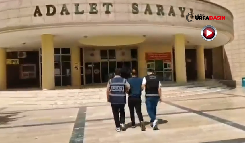 Şanlıurfa'da Silahlı Yağmadan 18 Yıl Hapsi Bulunan Hükümlü Yakalandı