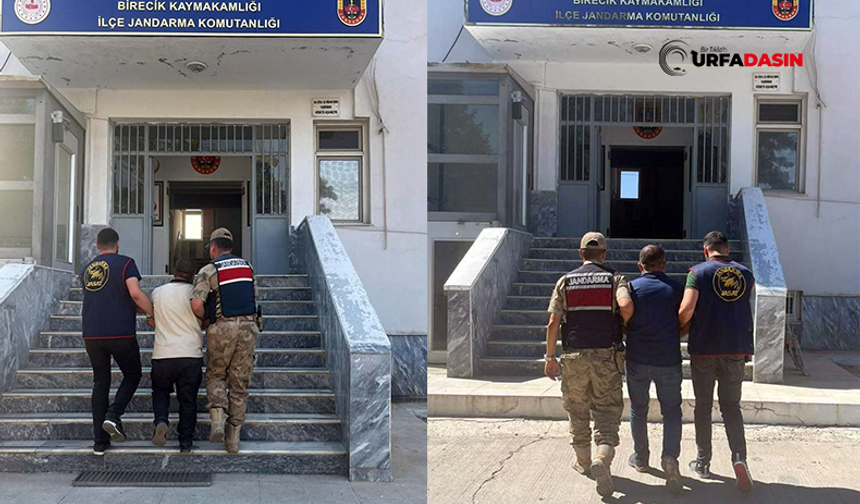 Şanlıurfa'da Aranan Hükümlüler, Jandarma Operasyonuyla Yakalandı