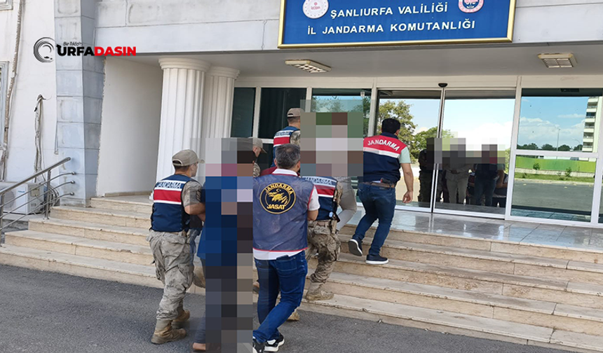 Şanlıurfa'da Göçmen Kaçakçılarına Yönelik Operasyonlar: 32 Gözaltı