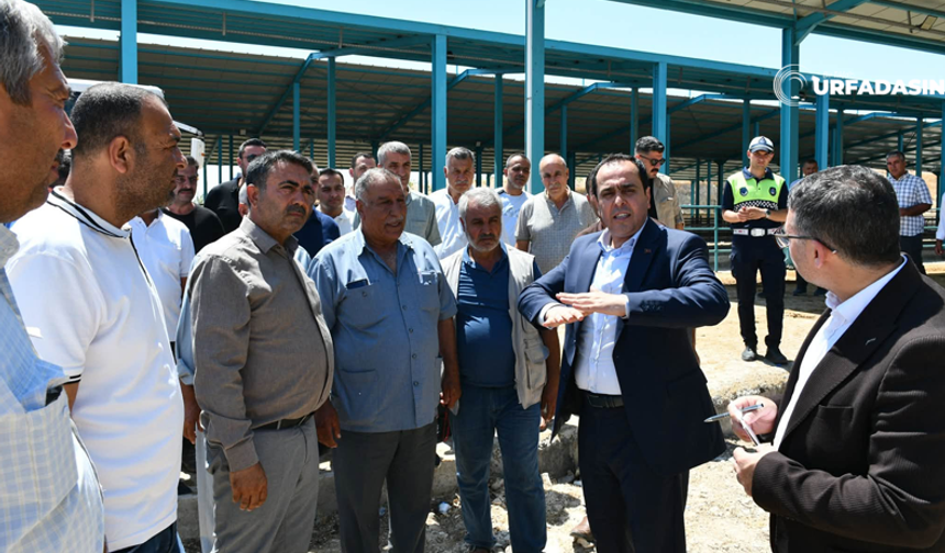 Şanlıurfa Birecik'te Canlı Hayvan Pazarı Yenileniyor