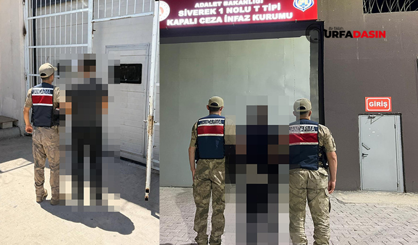 Şanlıurfa'da Narkotik ve Yağma Suçlarından Aranan 2 Hükümlü Yakalandı