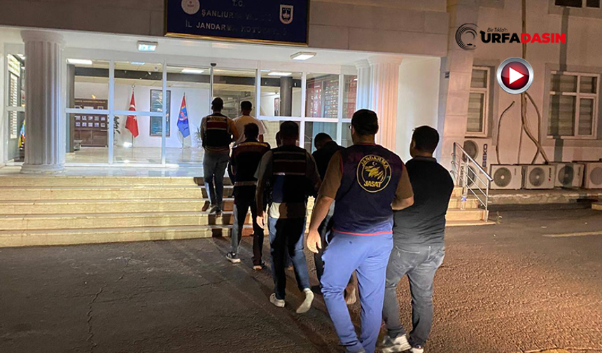 Şanlıurfa’da Sahte Polislere Jandarmadan Operasyon: 4 Gözaltı