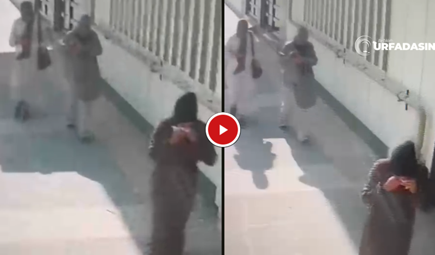 Şanlıurfa’da Hırsızlık Şüphelisi Üç Kadın Her Yerde Aranıyor