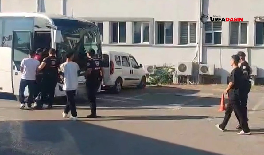 Patates Hatlarla 4 Milyon Liralık Dolandırıcılık: Şanlıurfa'dan Gözaltılar Var