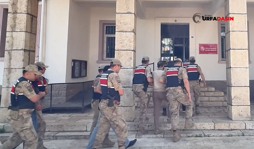 Şanlıurfa Dahil 28 İlde 12 Milyar Liralık Dolandırıcılık Operasyonu: 100 Kişi Tutuklandı