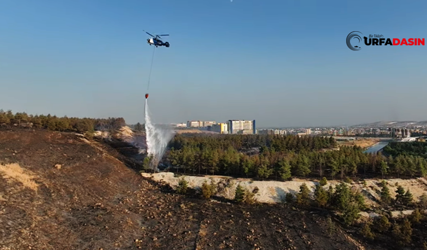 Şanlıurfa Orman Bölge Müdürlüğü Açıklama Yaptı