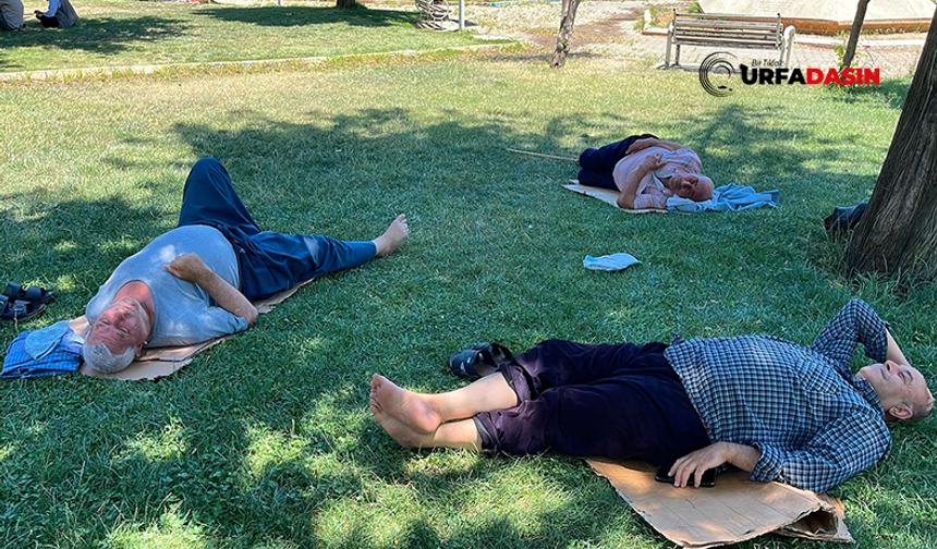 Şanlıurfa'da 40 Dereceyi Bulan Sıcak Bunalttı: Parklar ve Gölgeliklere Koştular