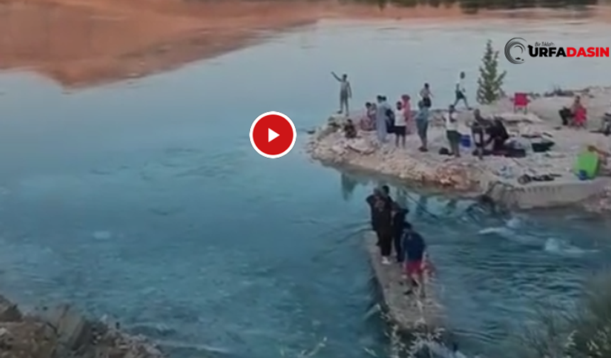 Şanlıurfa'da Piknikçiler Fırat Nehri Kıyısında Mahsur Kaldı