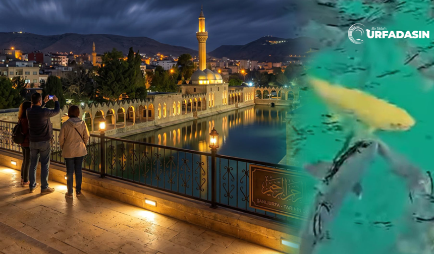 Sarı Balığı Görüp Dilek Dileyip de Dileği Kabul Olan Oldu Mu?