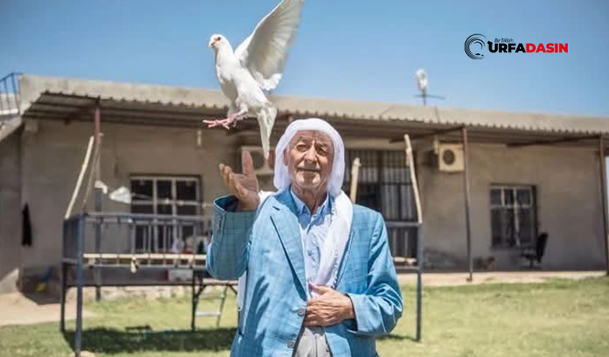 Şanlıurfa'da Kanaat Önderi ve Barış Elçisi Şeyh Hikmet Aydın Vefat Etti