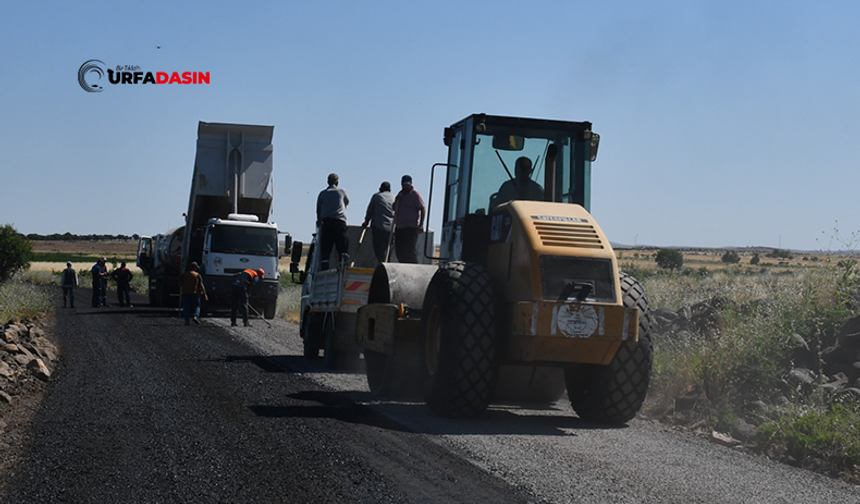 Siverek'te Üstyapı Asfaltlama Çalışmaları Aralıksız Sürüyor