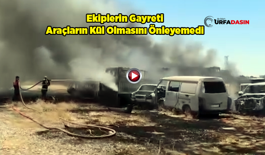 Şanlıurfa'da Yediemin Otoparkında Yangın: Araçlar Alevlere Teslim Oldu