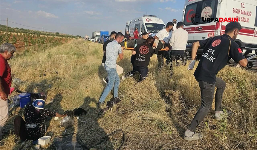 Şanlıurfa'daki Kazada Yaralanan Tarım İşçilerinden 18'i Taburcu Oldu