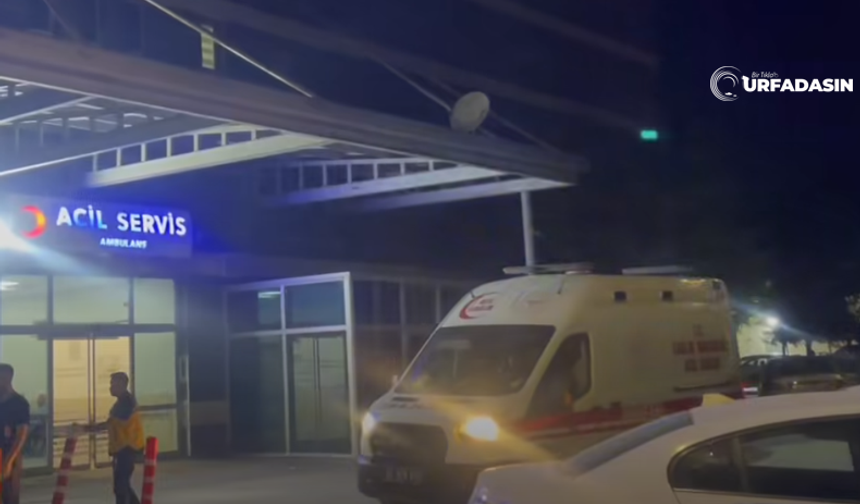 Şanlıurfa Suruç’ta Tarla Sınırı Kavgası : 2 Yaralı