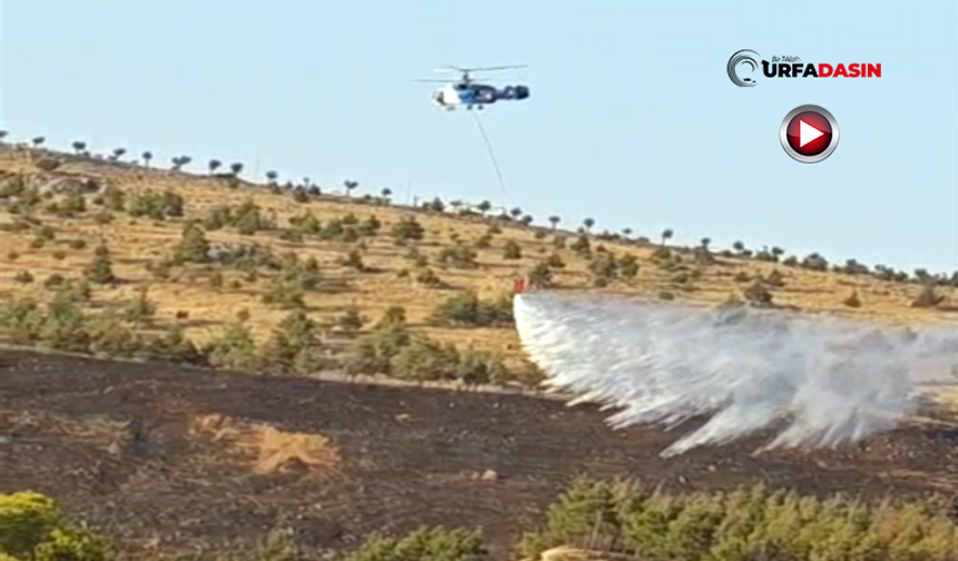 Şanlıurfa'daki Orman Yangını, Helikopter Müdahalesiyle Söndürüldü