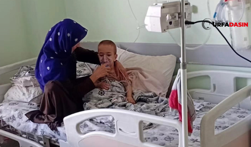 Şanlıurfa Viranşehirli Annenin Dramına Urfa Ses Verdi