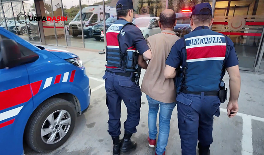 Şanlıurfa'nın Aralarında Bulunduğu 30 İlde DEAŞ Operasyonu: 104 Gözaltı
