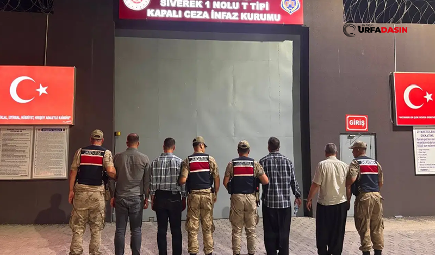 Şanlıurfa'da Engelli Anne-Babayı ve Çocuklarını Darp Eden 4 Zanlı Tutuklandı