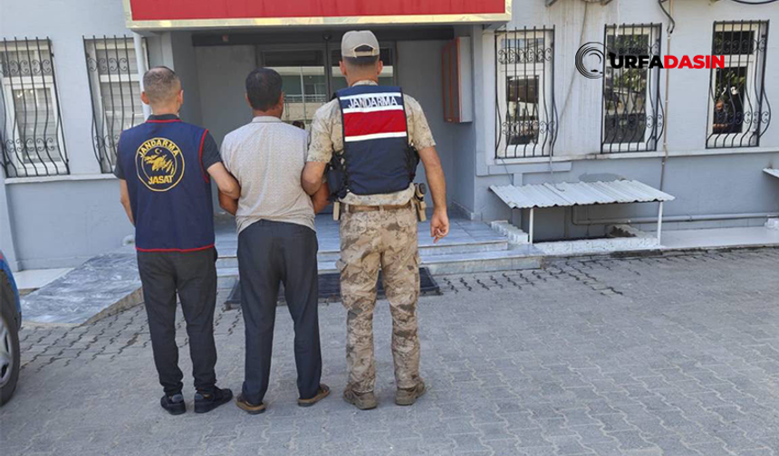 Şanlıurfa'da 10 Yıl Hapsi Bulunan Silah Kaçakçısı Jandarma Ekiplerince Yakalandı