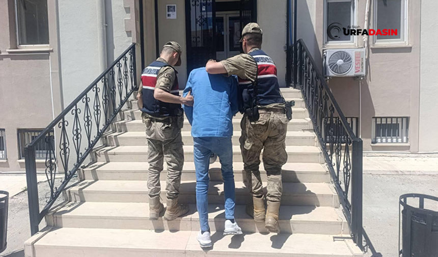 Şanlıurfa'da Silahlı Yaralama ve Yağma Hükümlüsü, Operasyonla Yakalandı