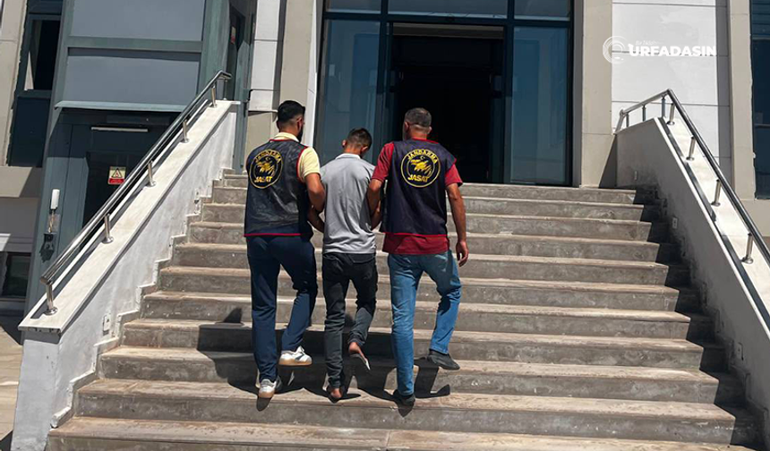 Şanlıurfa'da Hırsızlıktan 6 Yıl Hapis Cezası Bulunan Hükümlü Yakalandı