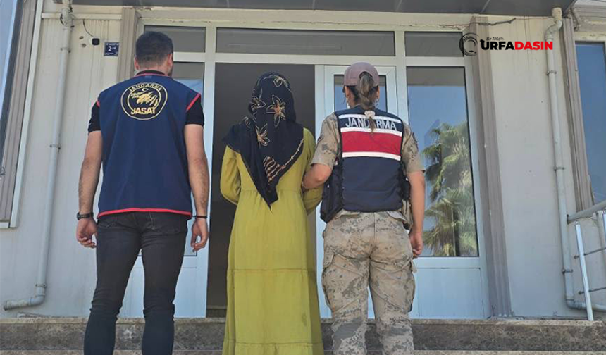 Şanlıurfa'da Dolandırıcılıktan 10 Yıl Hapis Cezası Bulunan Firari Kadın Yakalandı