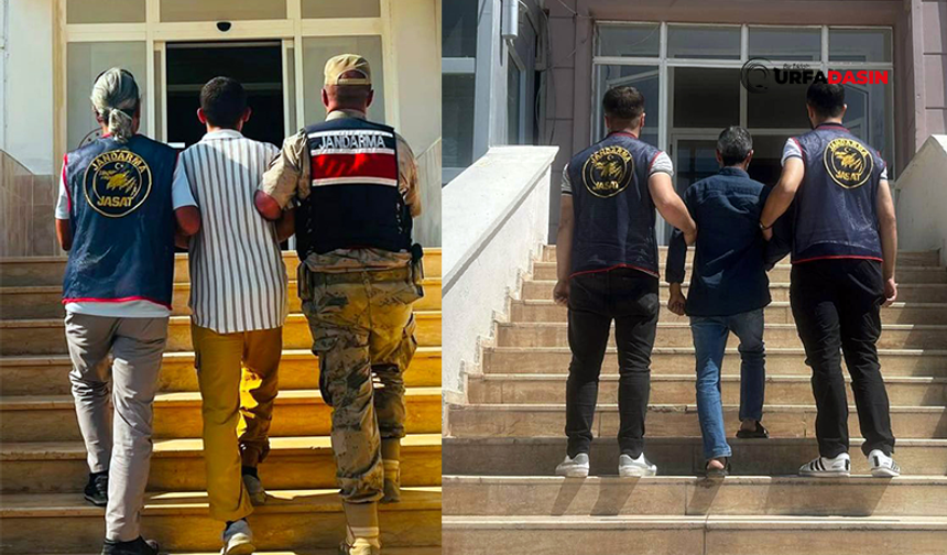 Şanlıurfa'da Jandarma Firarilerin Peşini Bırakmıyor: 2 Zanlı Yakalandı