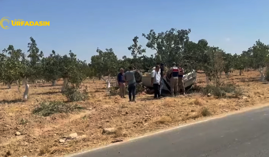 Birecik-Halfeti Yolunda Kaza: Araç Fıstık Tarlasına Yuvarlandı