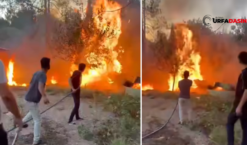 Birecik’te Yangın, Mahalle Sakinlerinde Panik