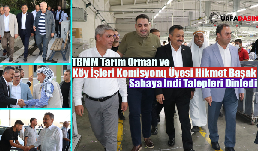 Hikmet Başak, Şanlıurfa'nın Her Sokağına Ayak İzini Alın Terini Bırakıyor