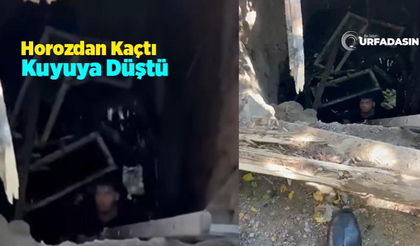 Viranşehir’de Kuyuya Düşen Genç İtfaiye Ekiplerince Kurtarıldı