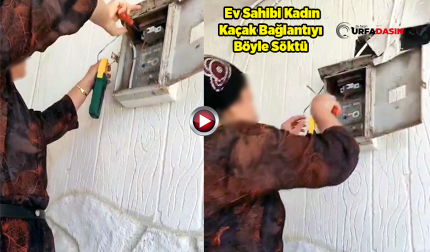 Şanlıurfa’da Ekiplere Aldırmadan Kaçak Bağlantıya Müdahale Etti