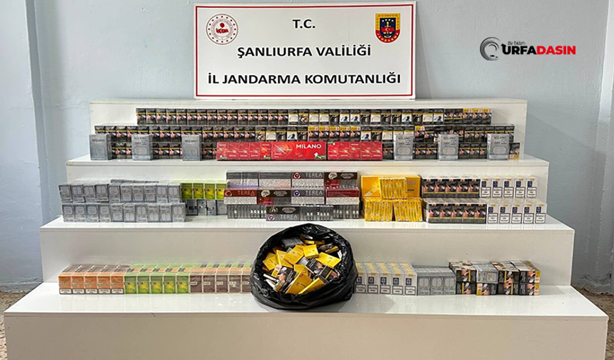Şanlıurfa'da Kaçakçılık Operasyonları: 16 Kişiye İşlem Başlatıldı