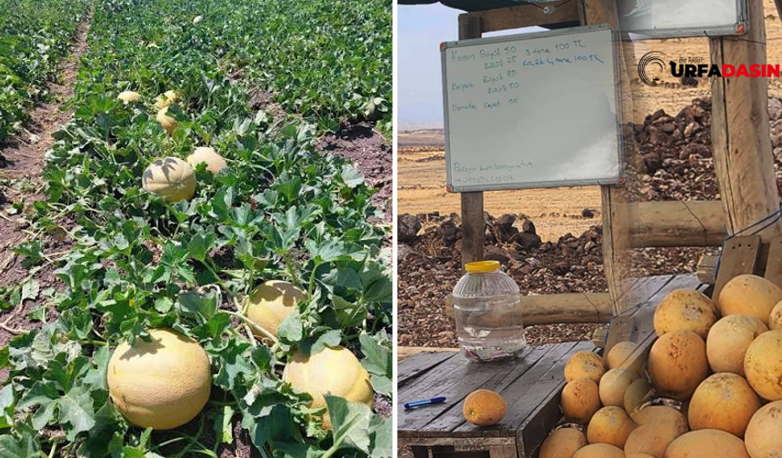 Şanlıurfa'da Dürüstlük ve Güven Tezgahı !