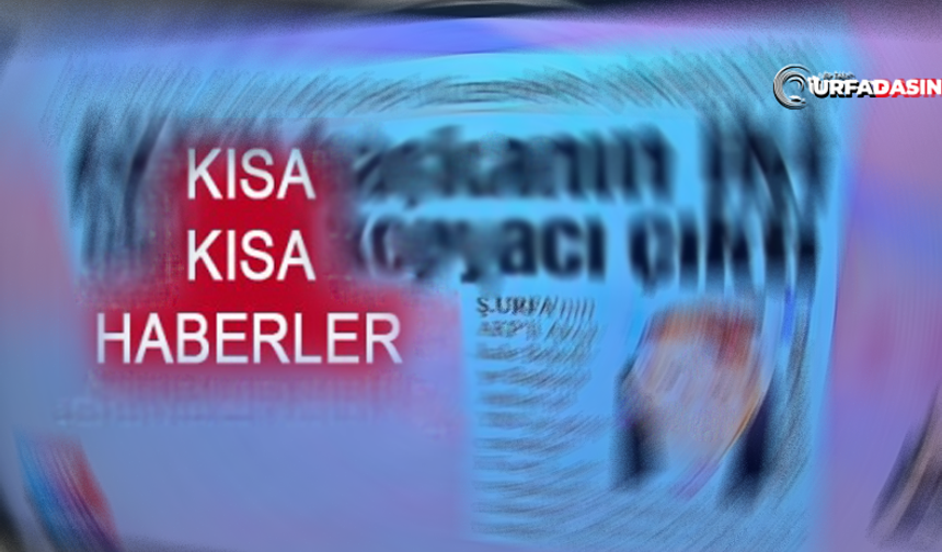 Şanlıurfa'dan Kısa Kısa...
