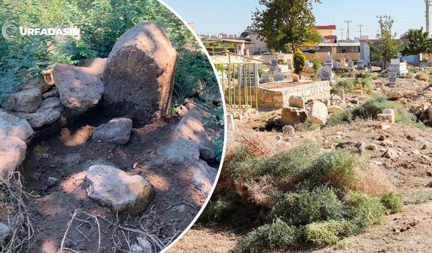 Harran Hayati Harrani Mezarlığı’nı Başıboş Köpek Tahrip Ediyor İddiası