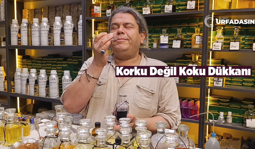 Şanlıurfalı Itri Reşit Korkmaz, Mor Menekşe İle 30 Yıldır Stresle Mücadele Ediyor
