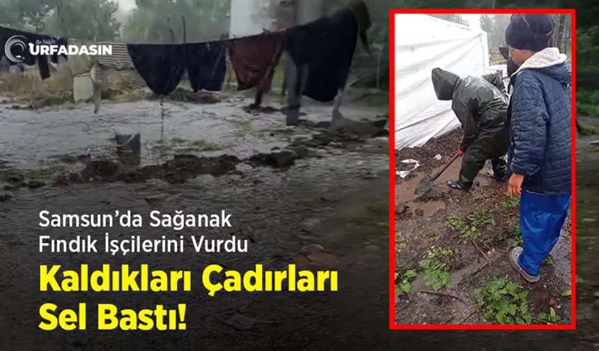 Şanlıurfa Siverekli Fındık İşçilerinin Çadırları Sel Sularına Teslim Oldu