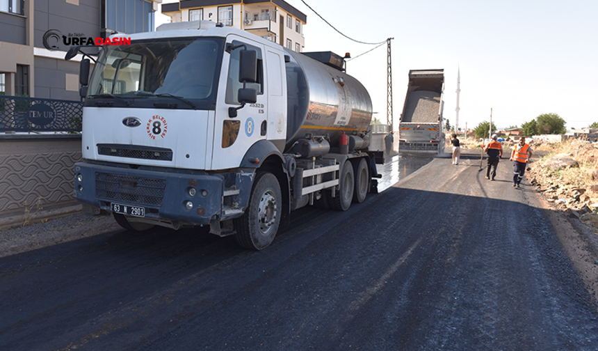 Siverek'te Yol Yapım ve Asfaltlama Çalışmaları Aralıksız Devam Ediyor