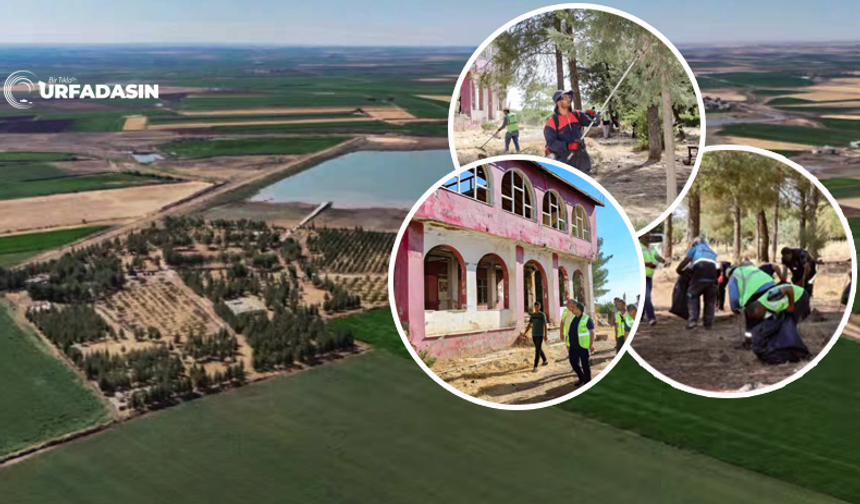 Viranşehir Sulutepe Mesire Alanı Yaşanılır Bir Hale Getiriliyor